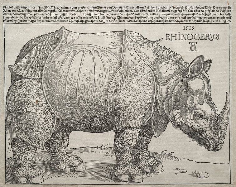 De neushoorn, Albrecht Dürer van De Canon