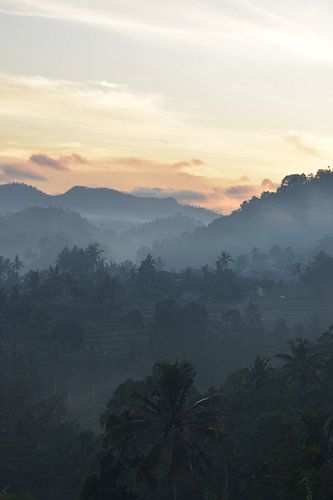 Sonnenuntergang über den Ricefields