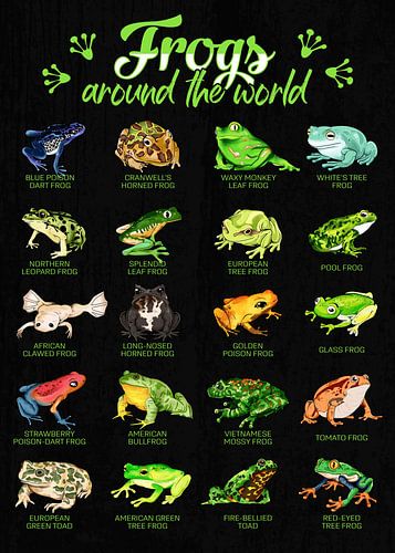 Fascinerende kikkers van over de hele wereld