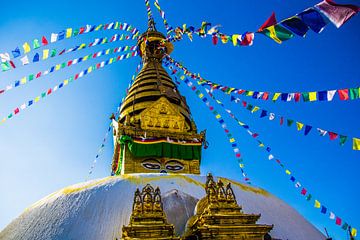 Swayambhunath van Shorty's adventure