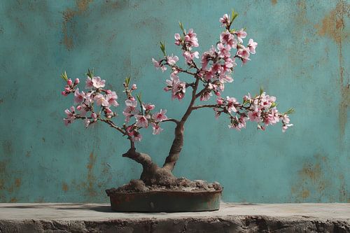 Stilleven Bonsai op rots met roze bloesem