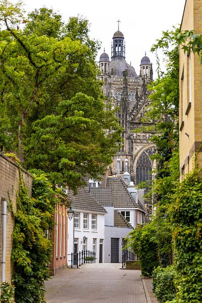 's-Hertogenbosch - St. Johannes-Kathedrale von Patrick Fotografeert