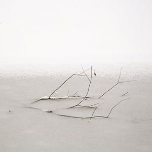 Bevroren in vijver van Lena Weisbek
