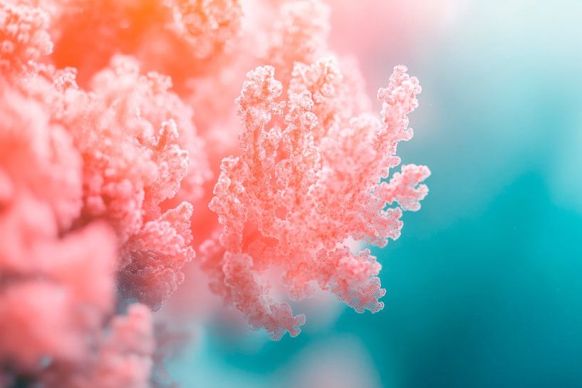 Coral reef blaze of colour by Poster Art Shop