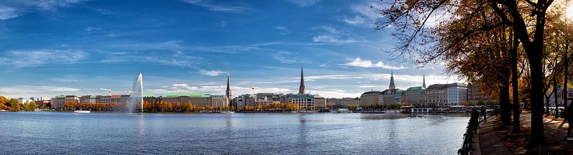 Inner Alster Hamburg by Dirk Rüter