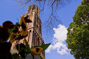 Domtoren sur Martien Janssen