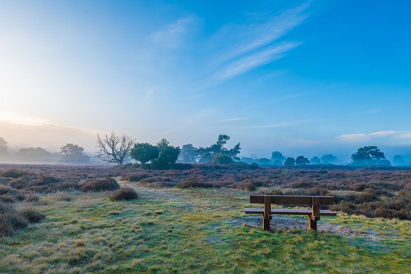 rest for a while by snippefotografie