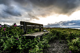 Verlassene Bank in Børkopp, Dänemark. von Frank Slaghuis