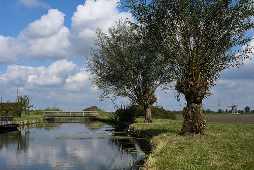 A landscape within our countryside