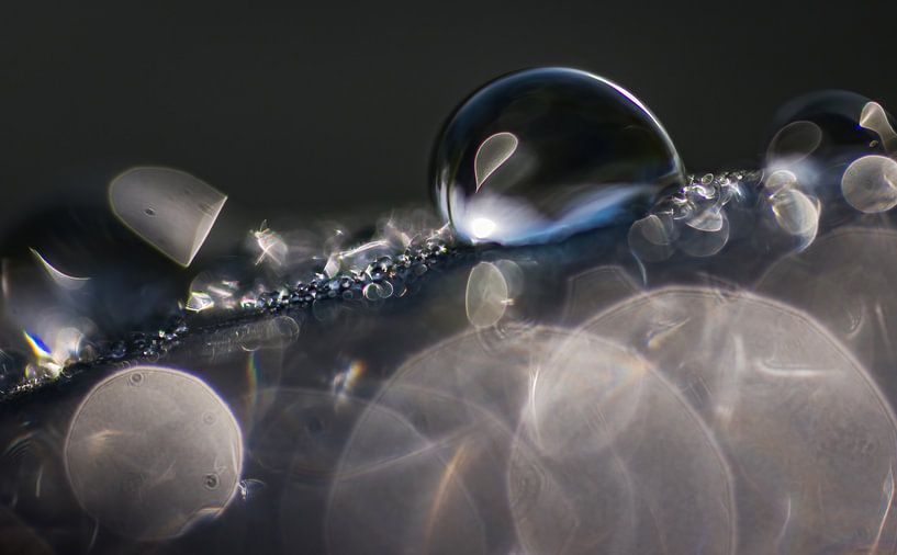 Blue Serenity: Sparkling Dewdrops by natascha verbij