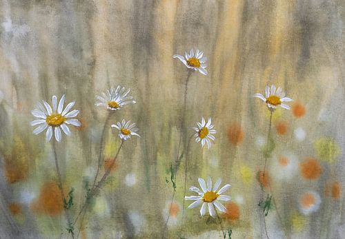 Watercolour part 117