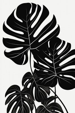 Feuilles de monstera, illustration en noir et blanc sur Color Square