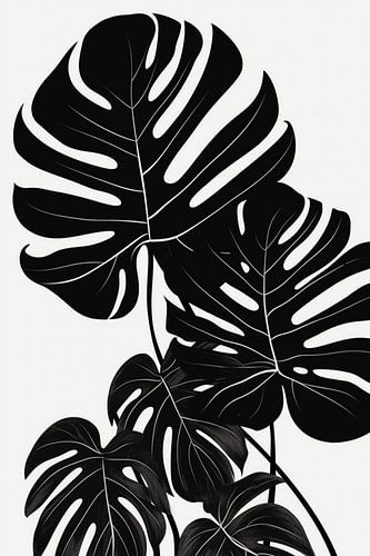 Feuilles de monstera, illustration en noir et blanc