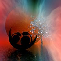mooncats, liefde is prachtig,