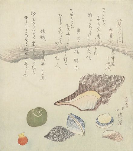 Reflectieschelp, ivoorschelp en tritonschelp, Totoya Hokkei, 1821