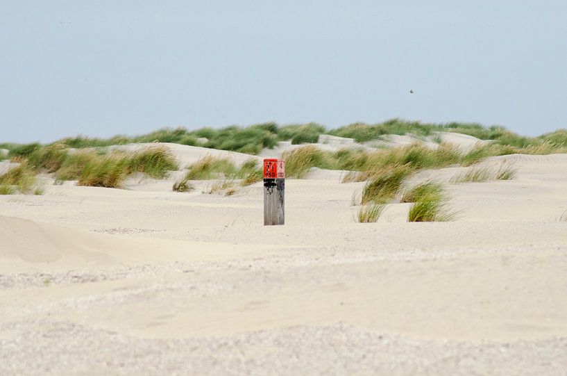 Paaltje op Ballum strand Ameland van Natasja Claessens