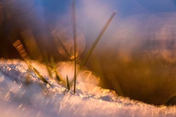 abstrakte Schnee Gras von Tania Perneel