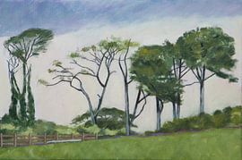 Irische Landschaft von Antonie van Gelder Beeldend kunstenaar