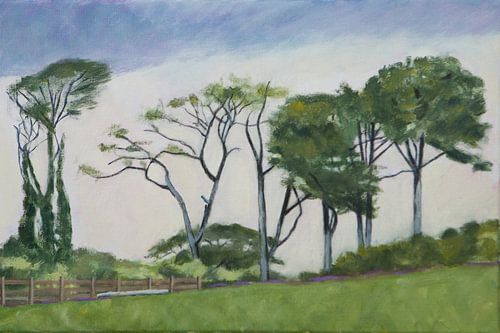 Iers landschap