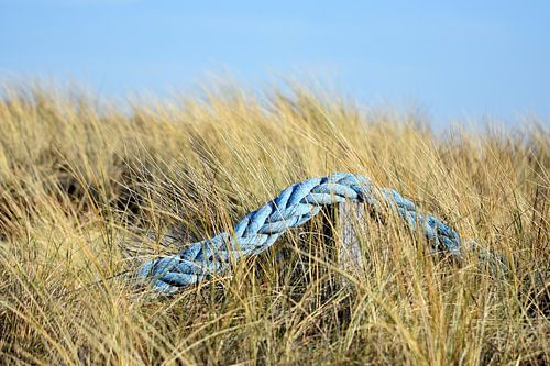 Dans les dunes