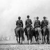 Cavalerie van Cees Petter