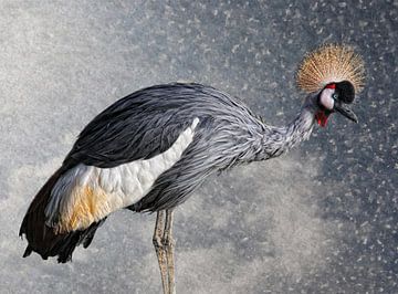 De gekroonde kraanvogel van Joachim G. Pinkawa