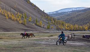 Bat-Ölzii, Mongolei - III