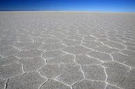 salt flats of Uyuni by Antwan Janssen thumbnail