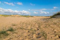 Dünen am Strand von Conil de la Frontera