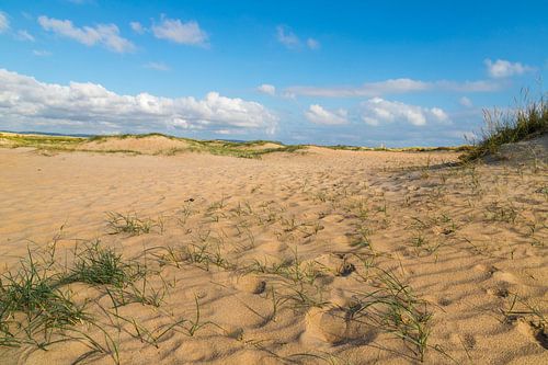 Duinen op het strand van Conil de la Frontera