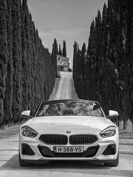 BMW Z4 sur Menno Schaefer