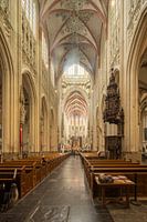 Nave St Jan