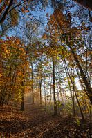 couleurs d'automne
