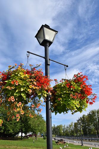Een straatlantaarn onder een blauwe hemel