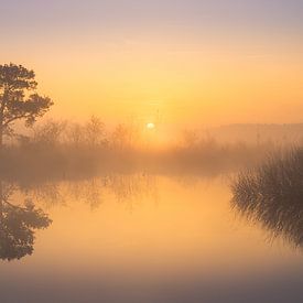 Ochtendgloed. van Marco Lok