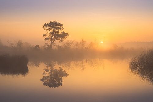 Ochtendgloed. van Marco Lok
