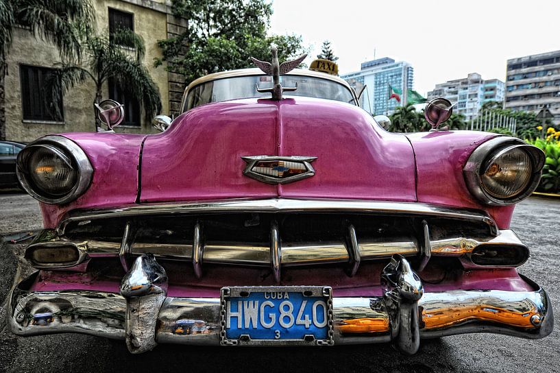Cuba van Tilly Meijer