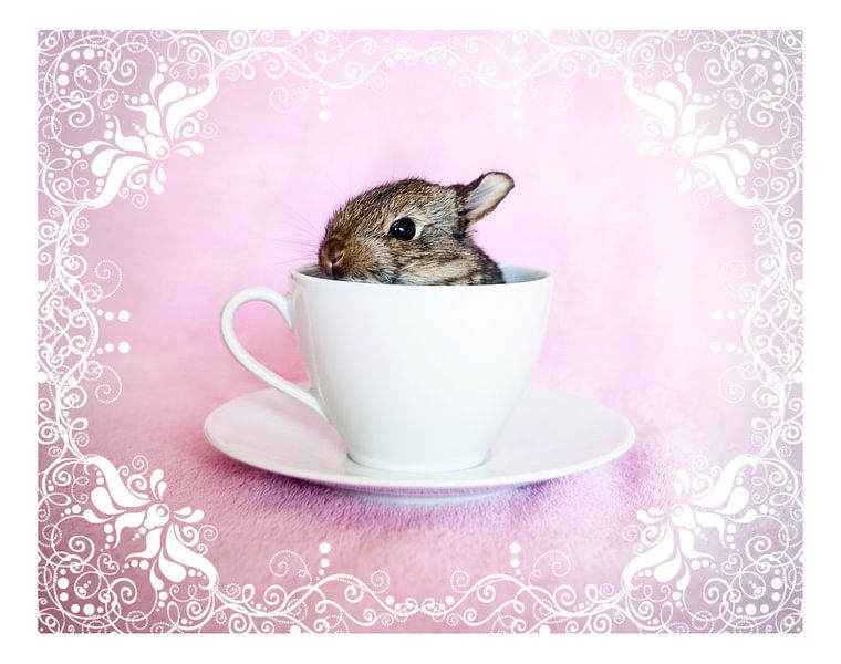 Pip in einer Tasse von Myrna Mangolita