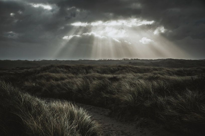 Dunes with threatening skies by Dirk van Egmond