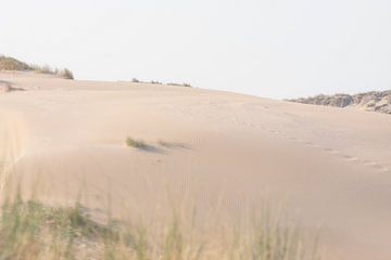 Image minimaliste des dunes néerlandaises | Impression photographique de voyage sur Kimberley Jekel