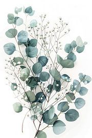 Eucalyptus and gypsophila by Poster Art Shop