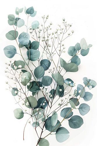 Eucalyptus and gypsophila