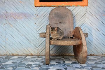 Kat in houten schommelstoel Rio Dulce Nicaragua van My Footprints