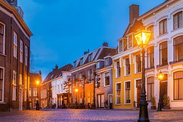 Het Pieterskerkhof in Leiden van Martin Bergsma