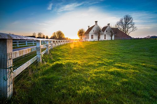 Landweg op het Nederlandse platteland met witte omheining