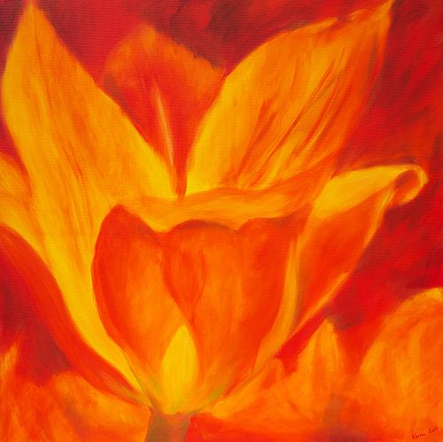 Abstrait rouge 1 - Tulipe