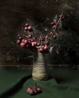 Appeltjes in aardewerken vaas | fine art stilleven fotografie in kleur | print muur kunst