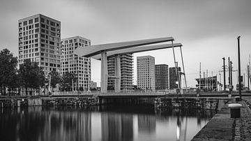 Londoner Brücke an der Eilandje in Antwerpen | Panorama | Schwarz-Weiß von Daan Duvillier | Dsquared Photography