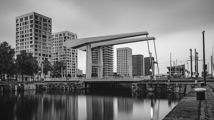 Pont de Londres sur l'Eilandje à Anvers | Panorama | Noir et Blanc par Daan Duvillier | Dsquared Photography
