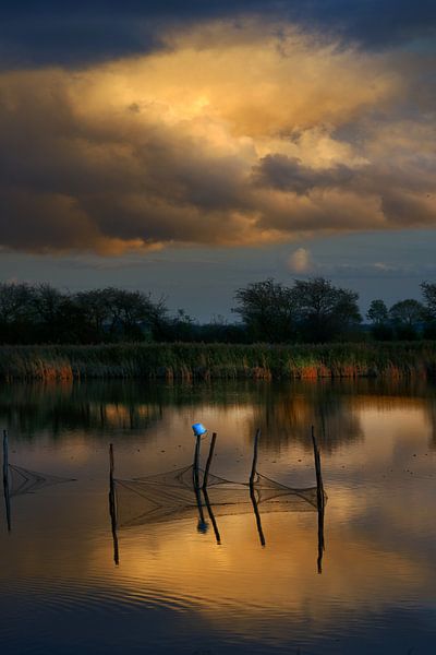 Reflectie van Harrie Muis